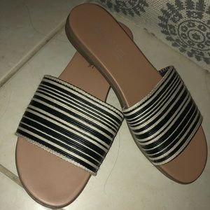 Michael Shannon sandals